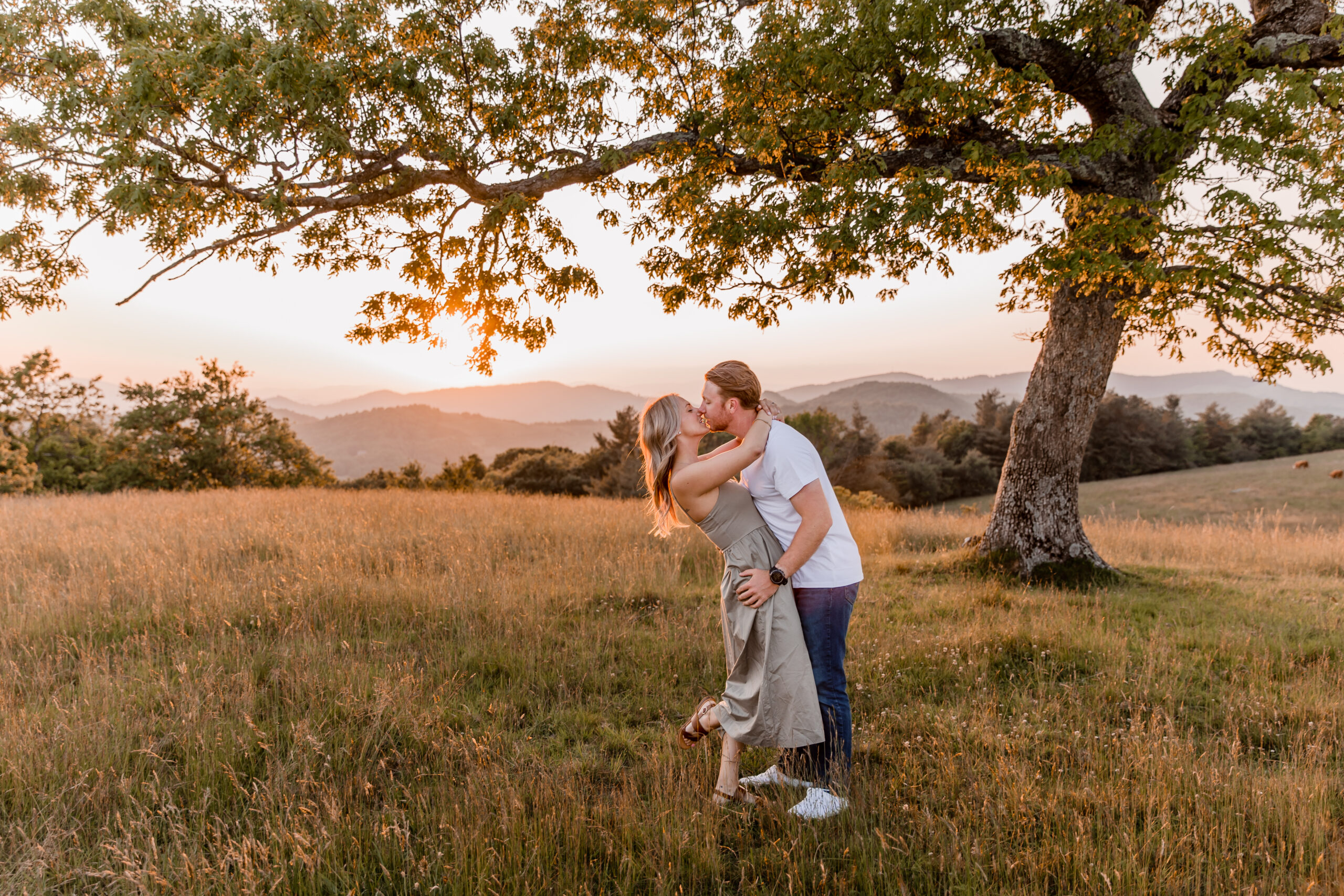 Blue Ridge Mountains sunset engagement with tree and tall grass