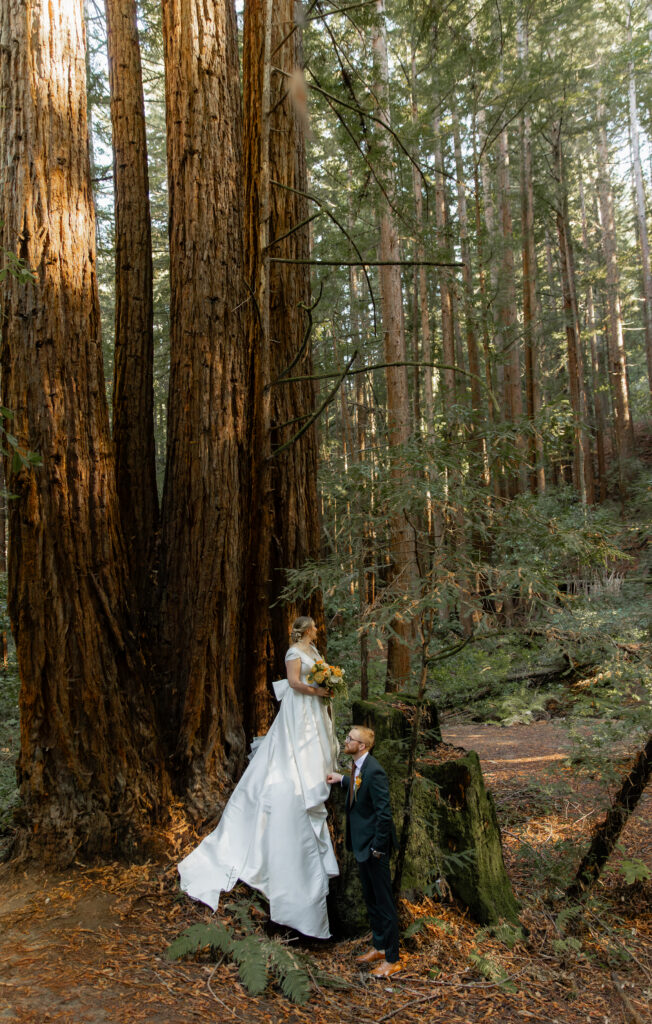 Couple standing among redwood trees in Big Sur before elopement ceremony