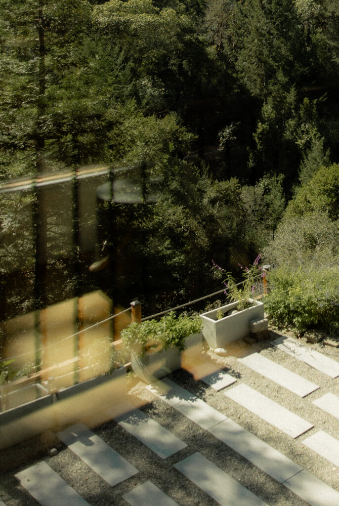 View of redwood forest from Big Sur Airbnb balcony before elopement